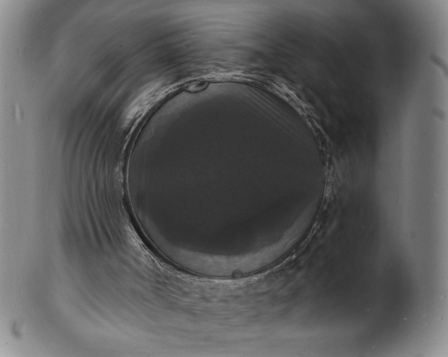 X0000102230002200808081358