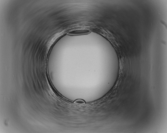 X0000102230003200808081358