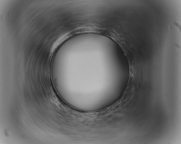X0000102230004200808081358
