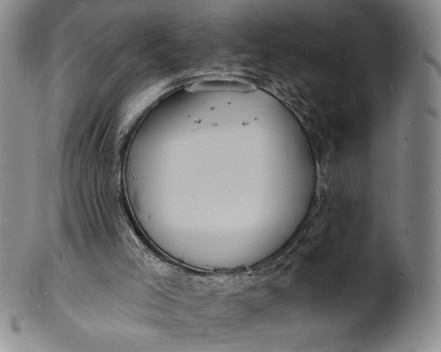X0000102230005200808081358