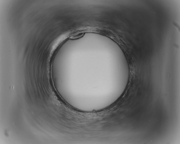 X0000102230006200808081358