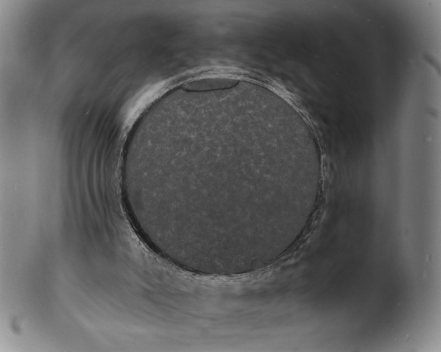 X0000102230007200808081358