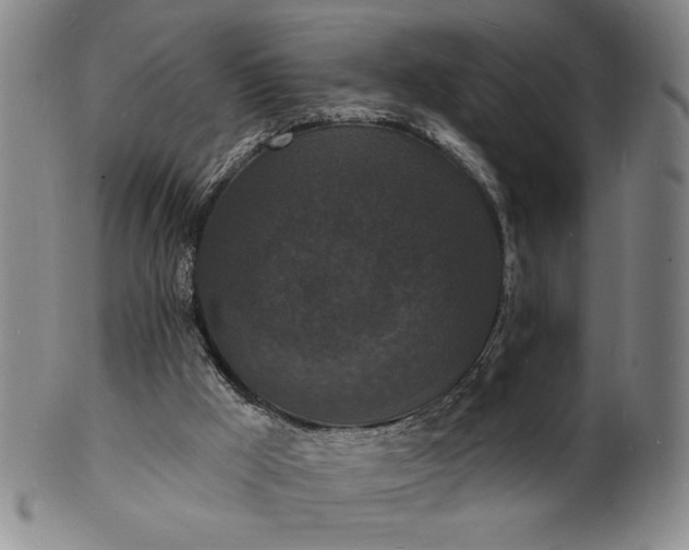 X0000102230009200808081358
