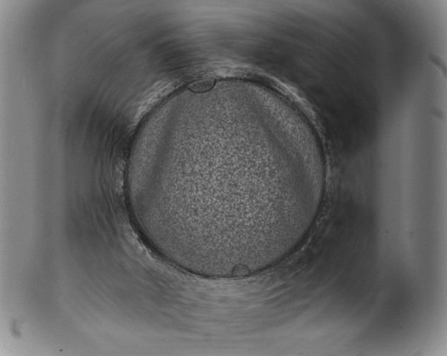X0000102230010200808081358
