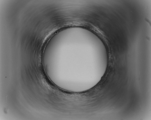 X0000102230012200808081358