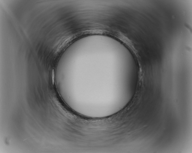 X0000102230013200808081358