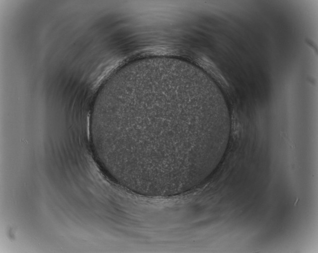 X0000102230014200808081358