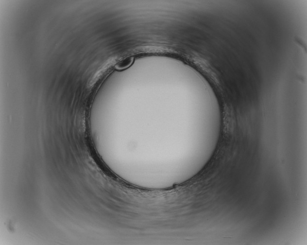 X0000102230015200808081358