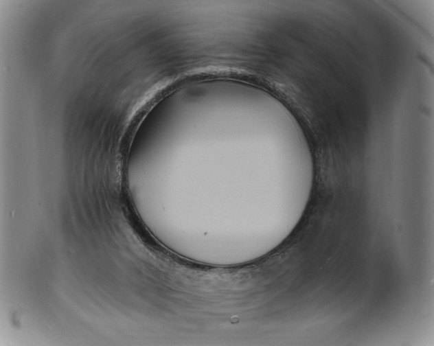 X0000102230016200808081358