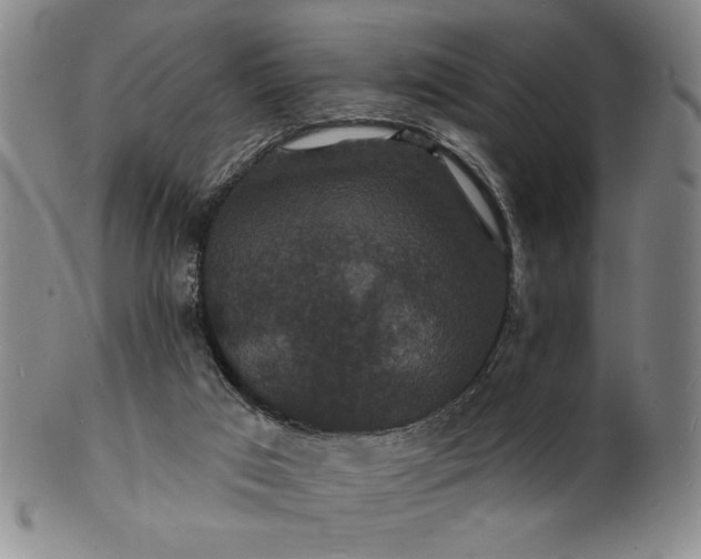 X0000102230017200808081358