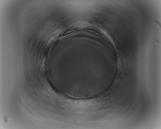 X0000102230018200808081358