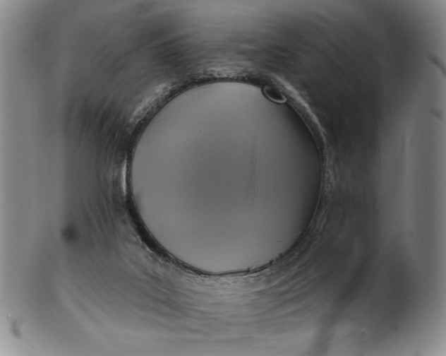 X0000102230019200808081358