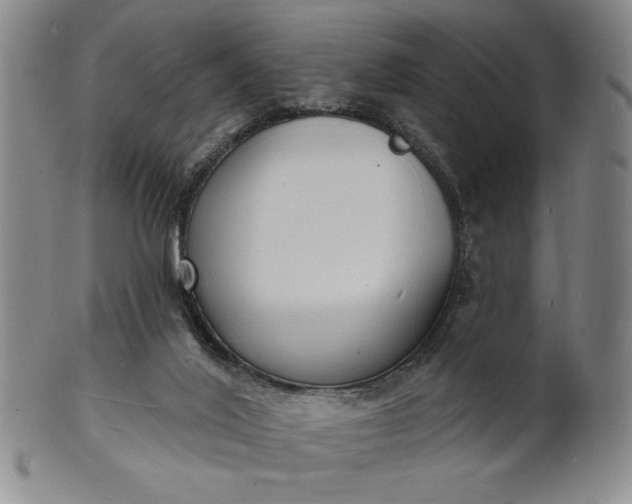 X0000102230020200808081358