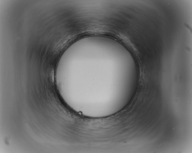 X0000102230021200808081358