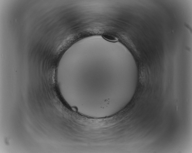 X0000102230023200808081358