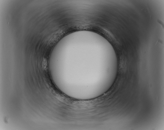 X0000102230025200808081358