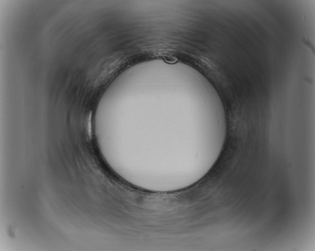 X0000102230028200808081358