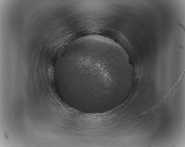 X0000102230029200808081358