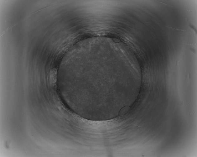 X0000102230030200808081358