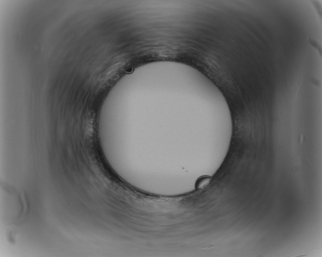 X0000102230032200808081358