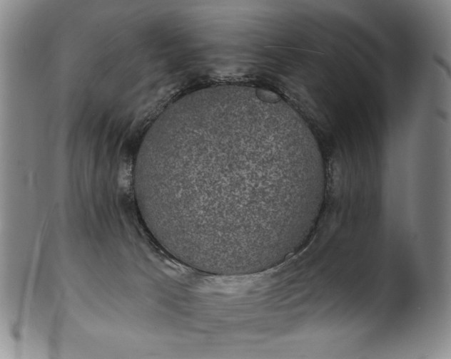 X0000102230033200808081358
