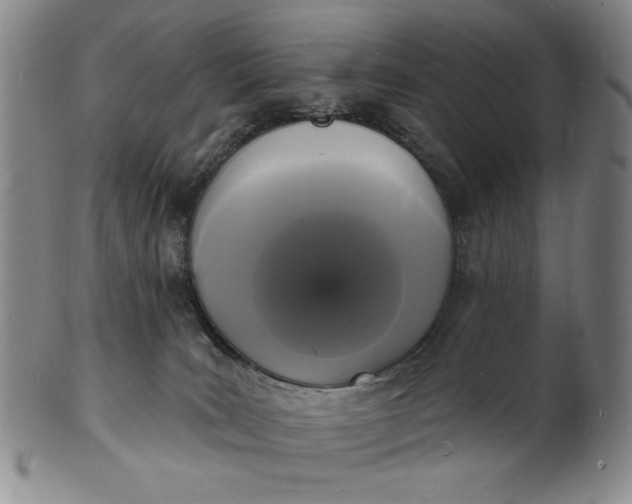 X0000102230035200808081358