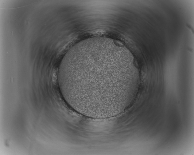X0000102230037200808081358