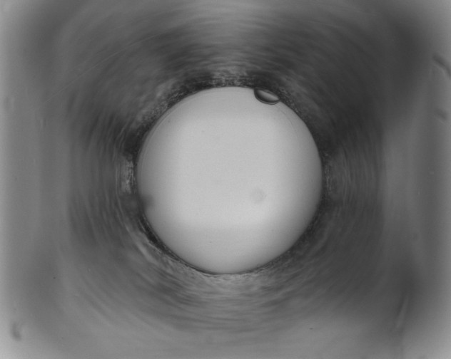 X0000102230038200808081358