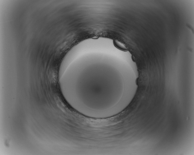 X0000102230039200808081358