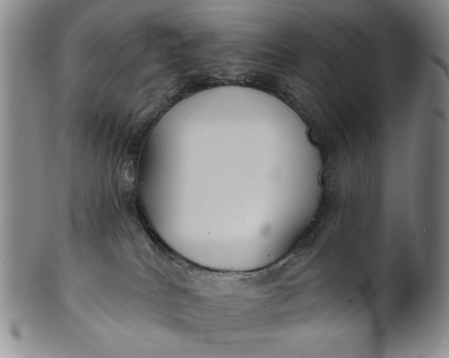X0000102230040200808081358