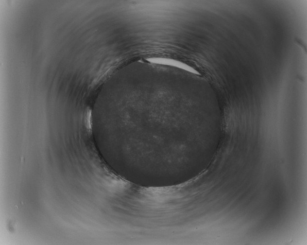 X0000102230041200808081357