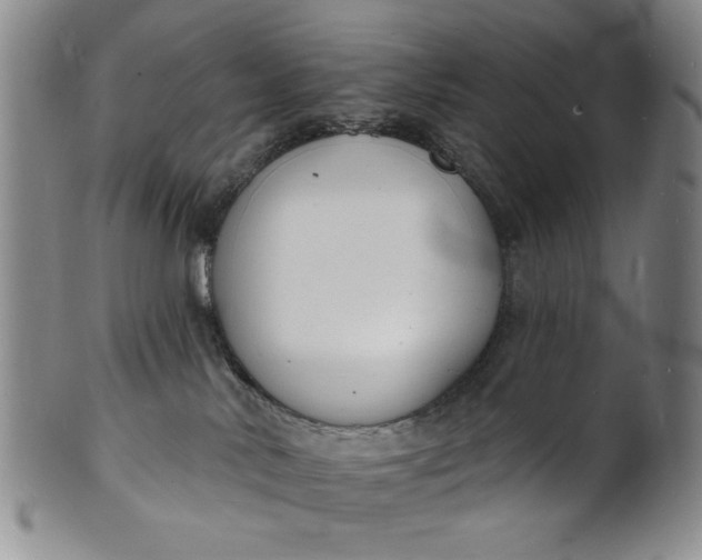 X0000102230042200808081357