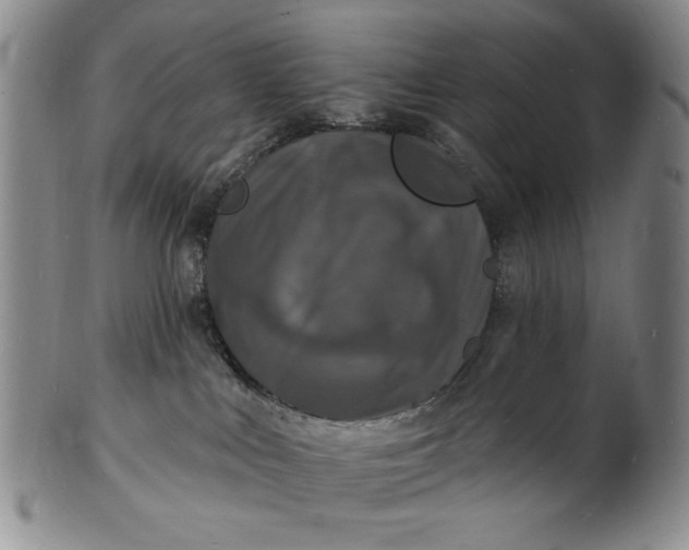 X0000102230043200808081357