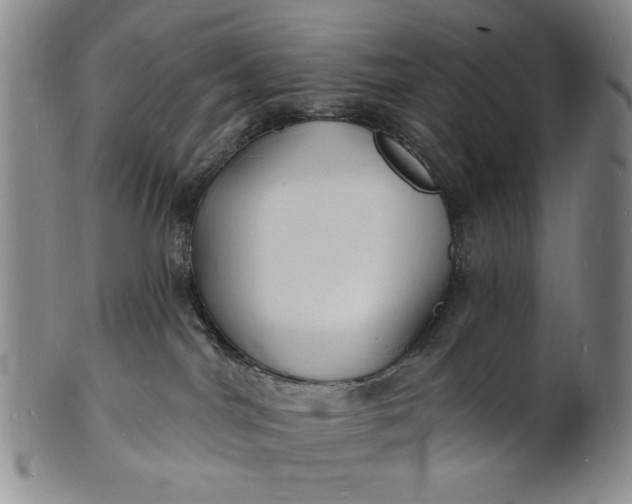 X0000102230044200808081357