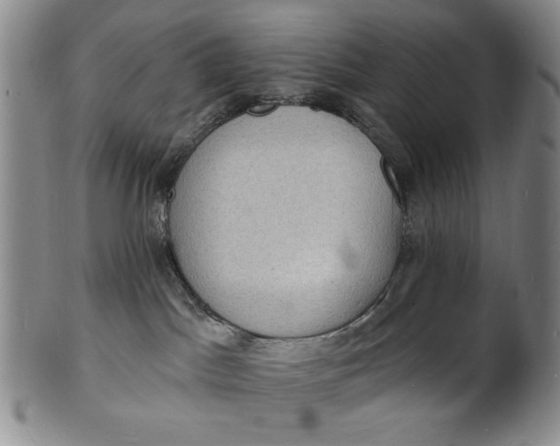 X0000102230045200808081357