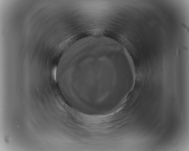 X0000102230047200808081357