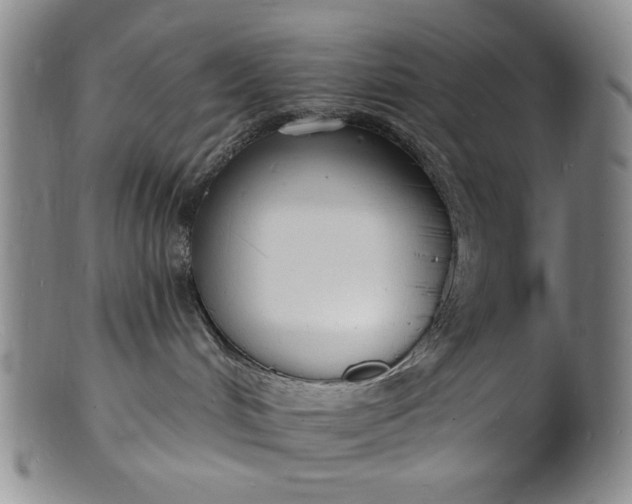 X0000102230048200808081357
