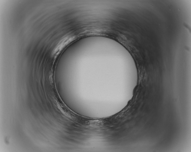 X0000102230050200808081357