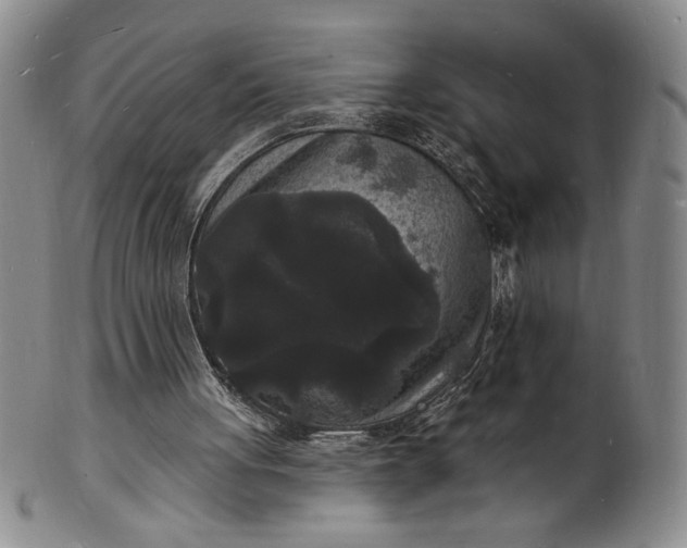 X0000102230051200808081357