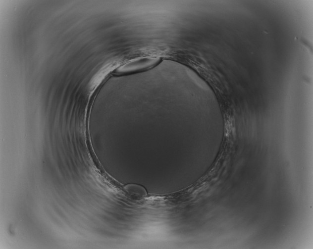 X0000102230052200808081357