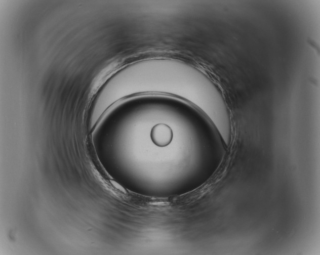 X0000102230053200808081357