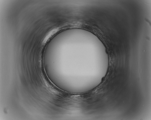 X0000102230054200808081357