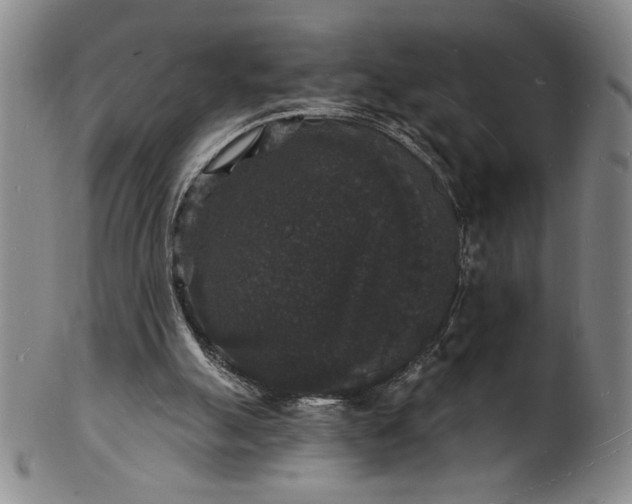 X0000102230055200808081357