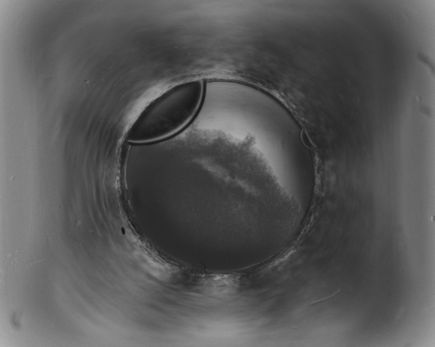 X0000102230056200808081357