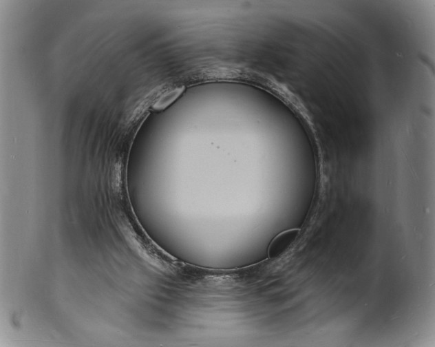 X0000102230057200808081357