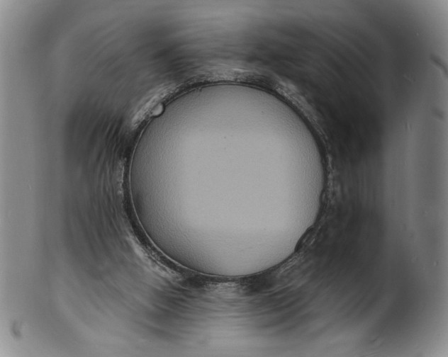 X0000102230058200808081357
