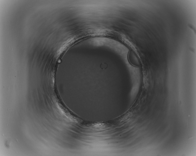 X0000102230059200808081357