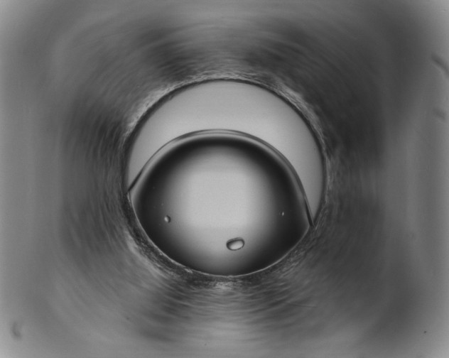 X0000102230060200808081357