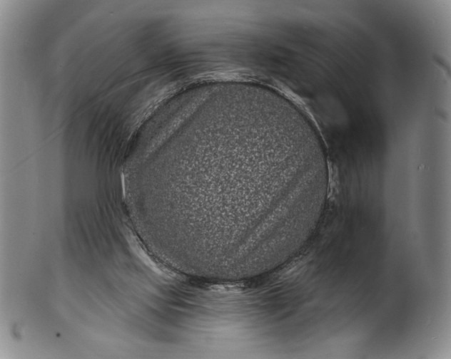 X0000102230061200808081357