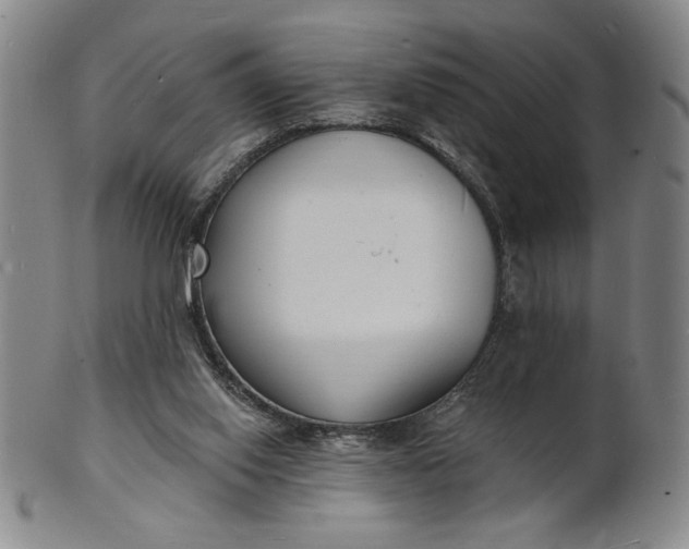 X0000102230062200808081357